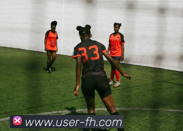 凤凰体育平台生态图